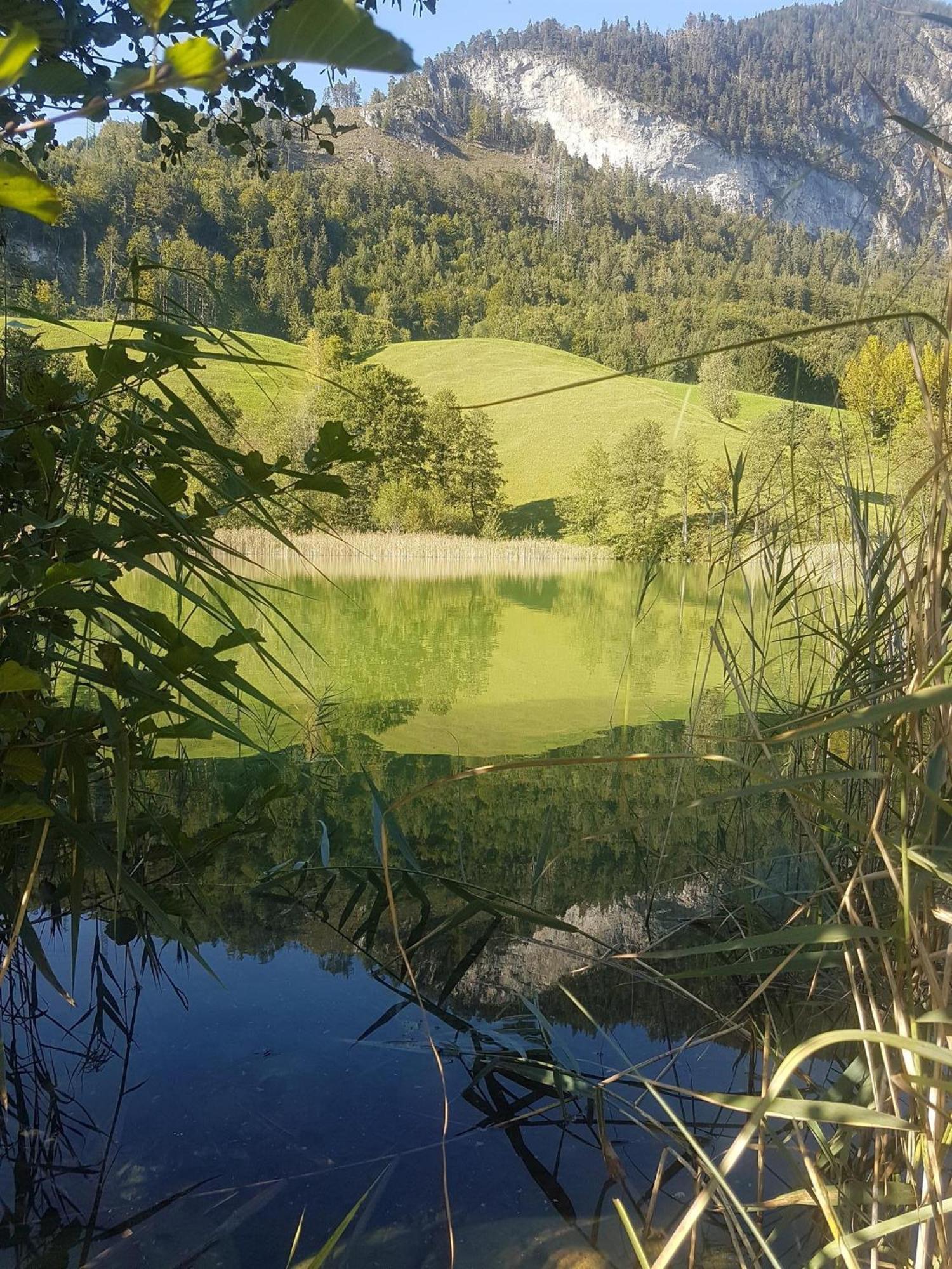 Haus Theresia Alpbach Exterior photo